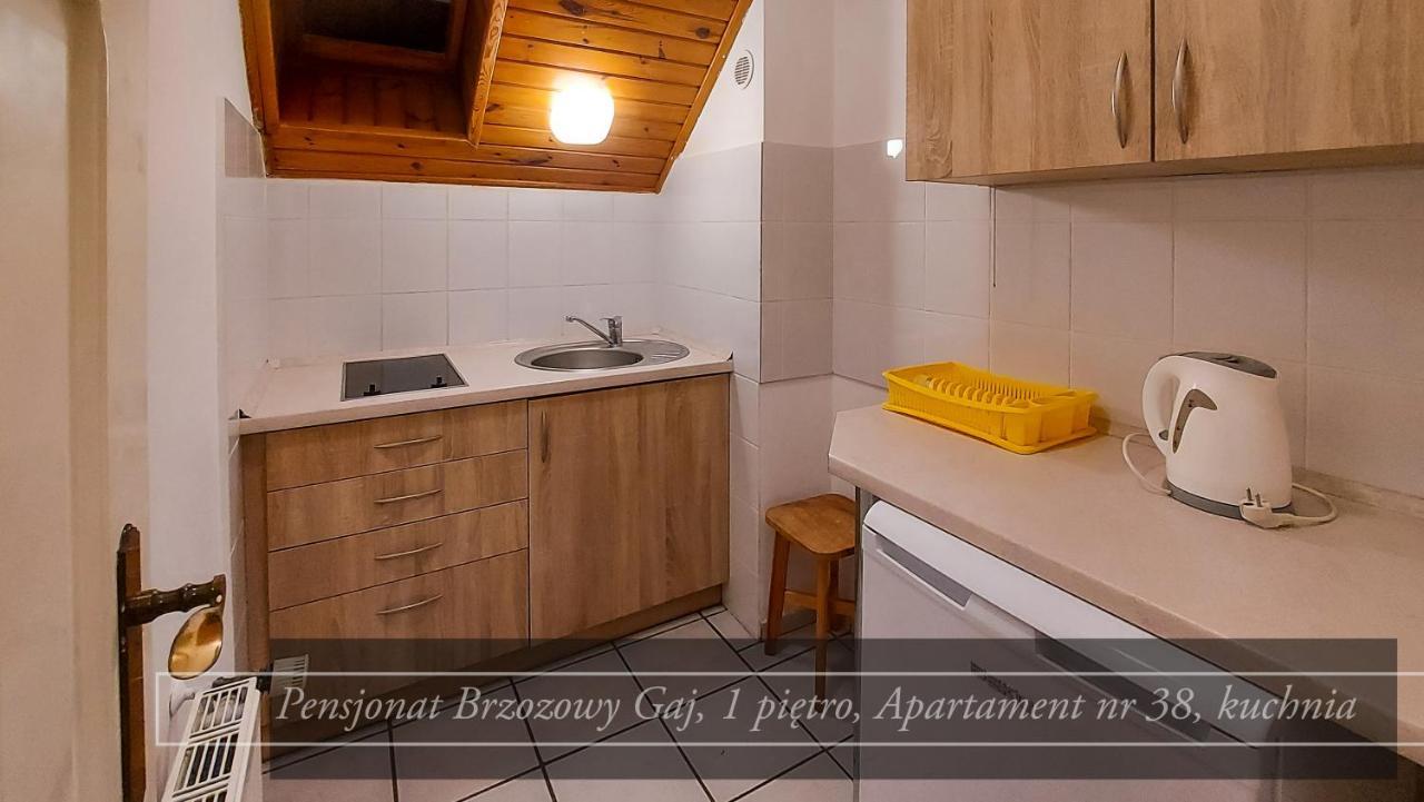 Brzozowy Gaj - Pensjonat Karpacz Exterior photo