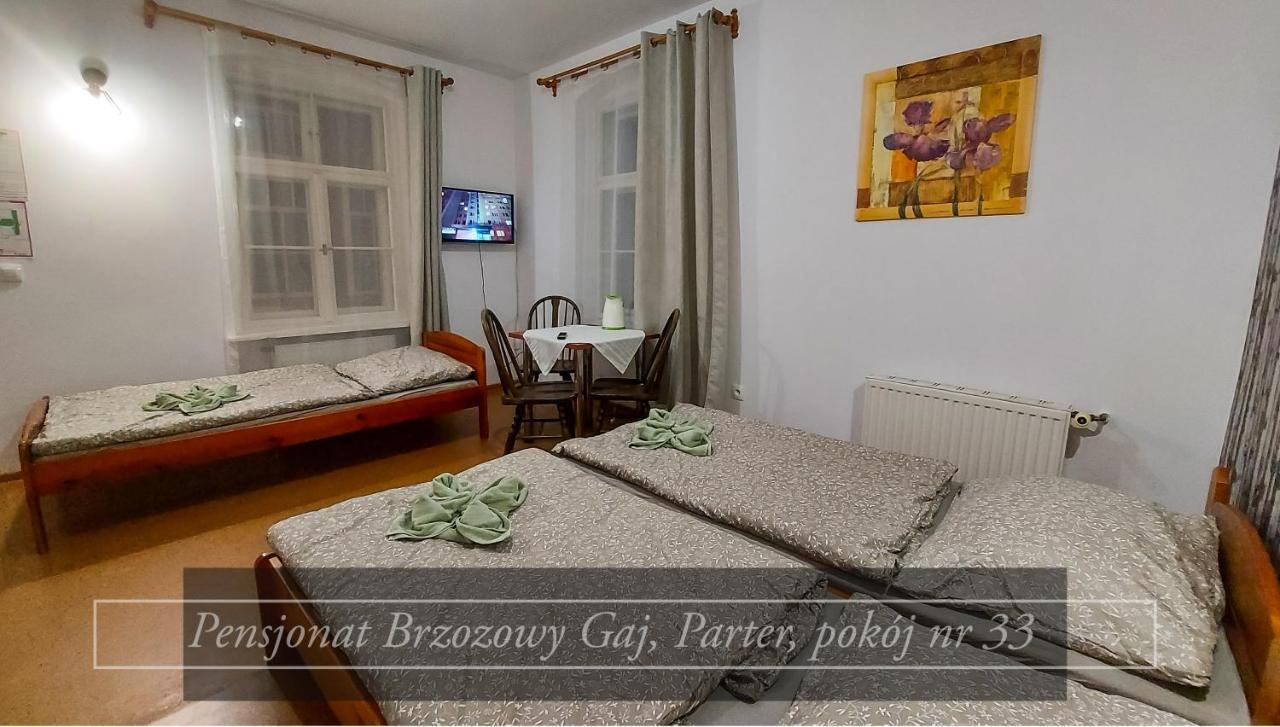 Brzozowy Gaj - Pensjonat Karpacz Exterior photo